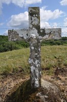 Croix - Devant le Bois du Halleu