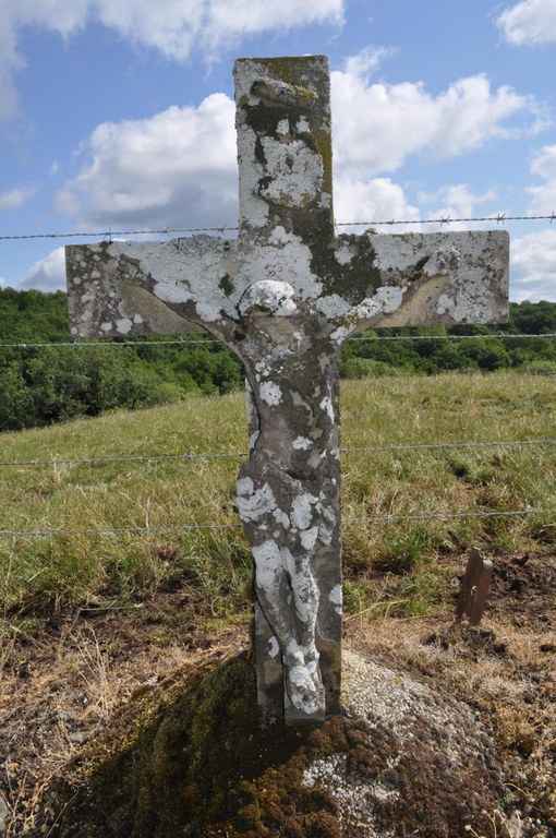 Croix - Devant le Bois du Halleu