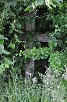 Croix de rogations (Drève des marronniers)