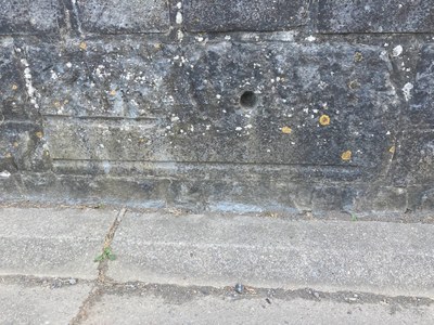 Mesure du "pied de Lavaux" *